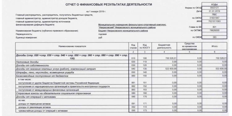 Отчет о финансовых результатах деятельности на 01.01.2019